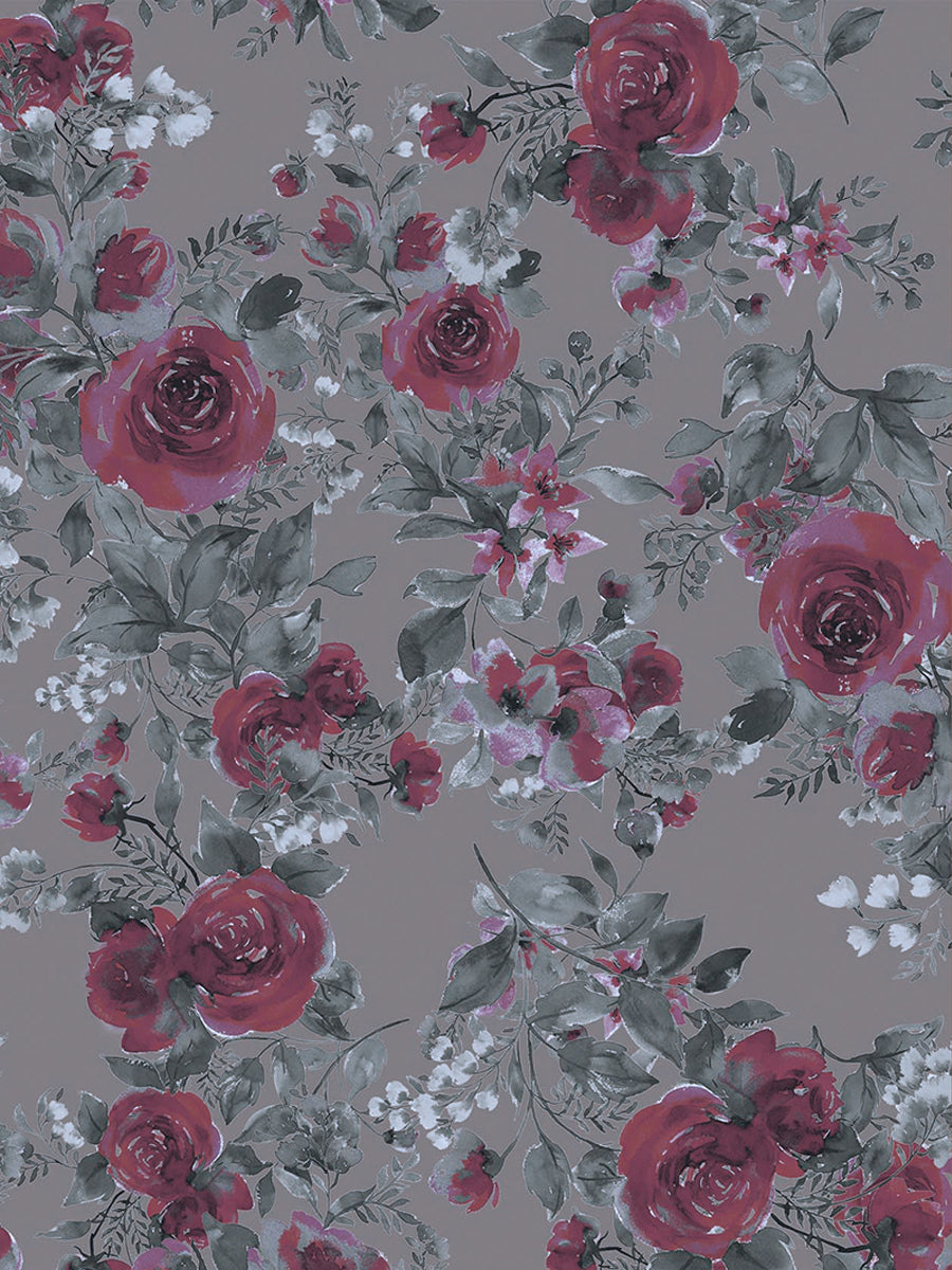 etude / constellation Toupe