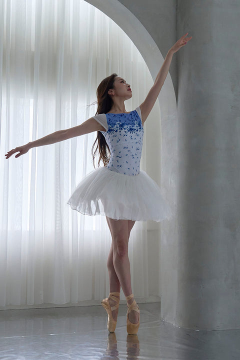type P capsleeve / cosmos blue mist