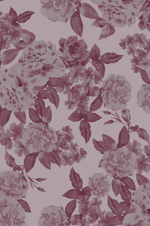 Serenade / Orbit pink