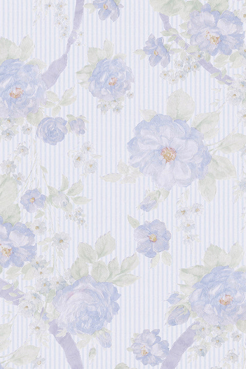 type H half sleeve / Asteria Powder blue