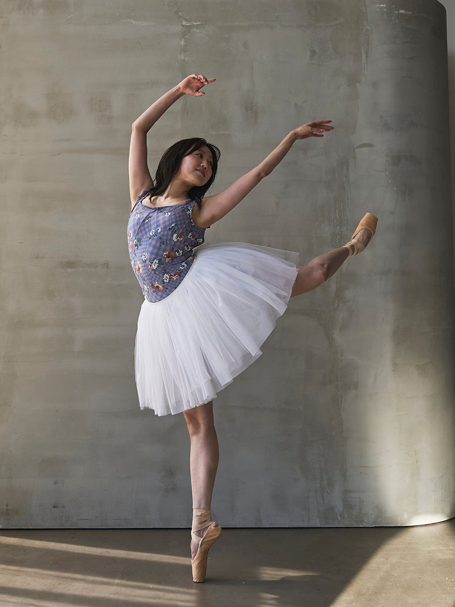 serenade / Stella twilight